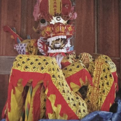 镇亭潭石井杨老龙