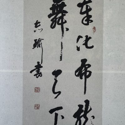 奉化布龙舞天下